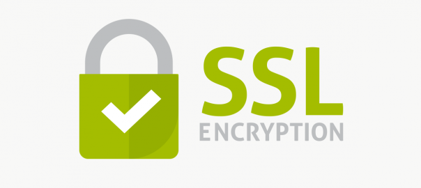 ssl encrypted safe shopping